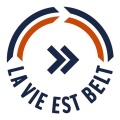 Logo La Vie est Belt